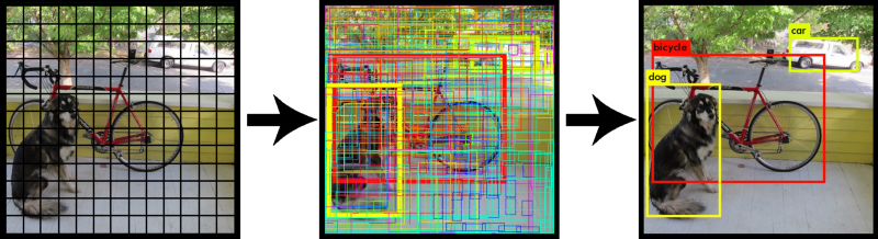 yolo i tre box e un cane