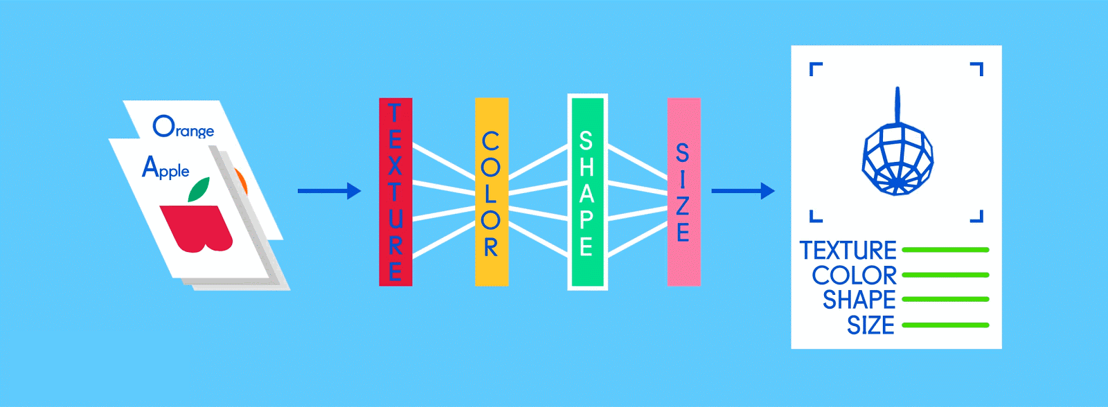 una gif che spiega come gli algoritmi capiscono le immagini