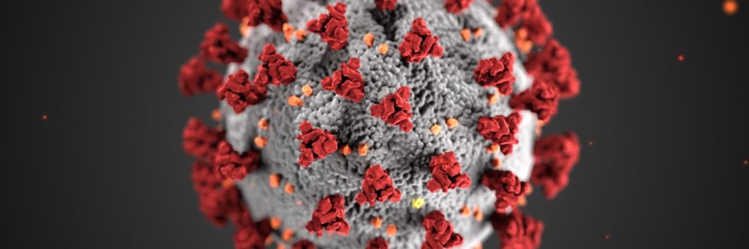 Coronavirus: il nostro modello predittivo per il covid-19