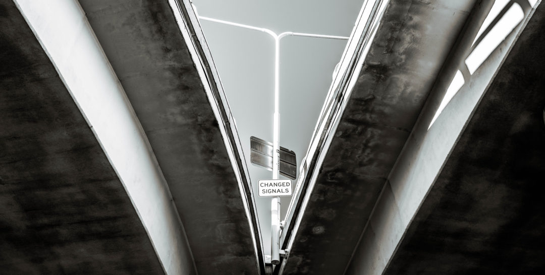 La differenza tra decision science e data science