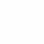 logo Spindox Labs total white