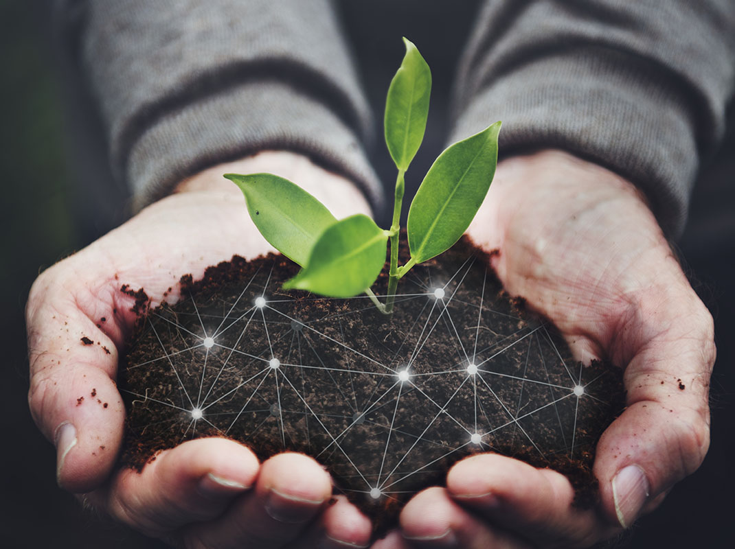 Food industry: aziende sostenibili per una filiera sostenibile