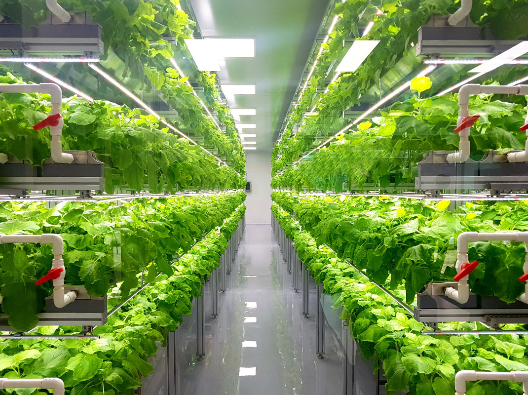 L’agricoltura del futuro: nuovi strumenti e tecniche sostenibili