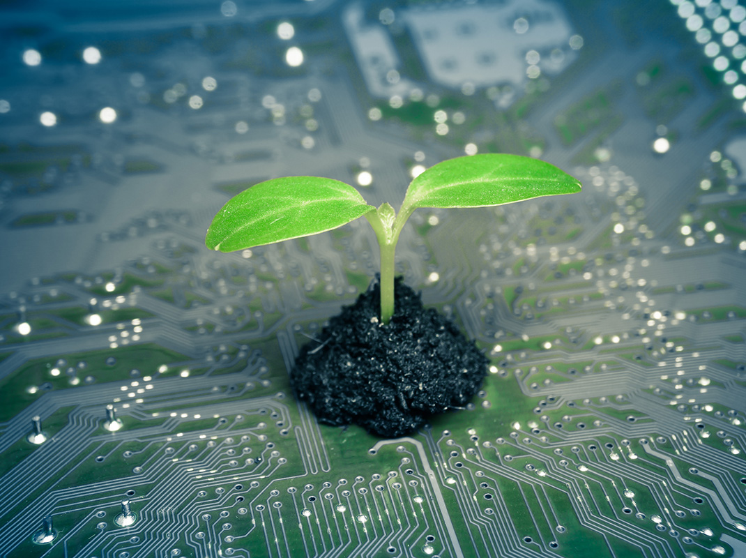 Ecologia 3.0: la sostenibilità digitale￼