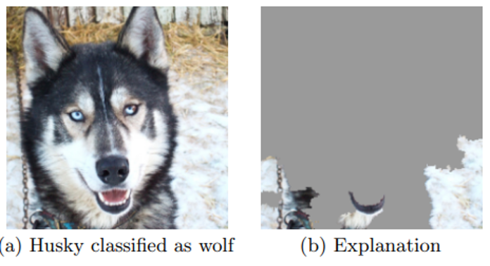 Errore selezione pixel responsabili dell'output