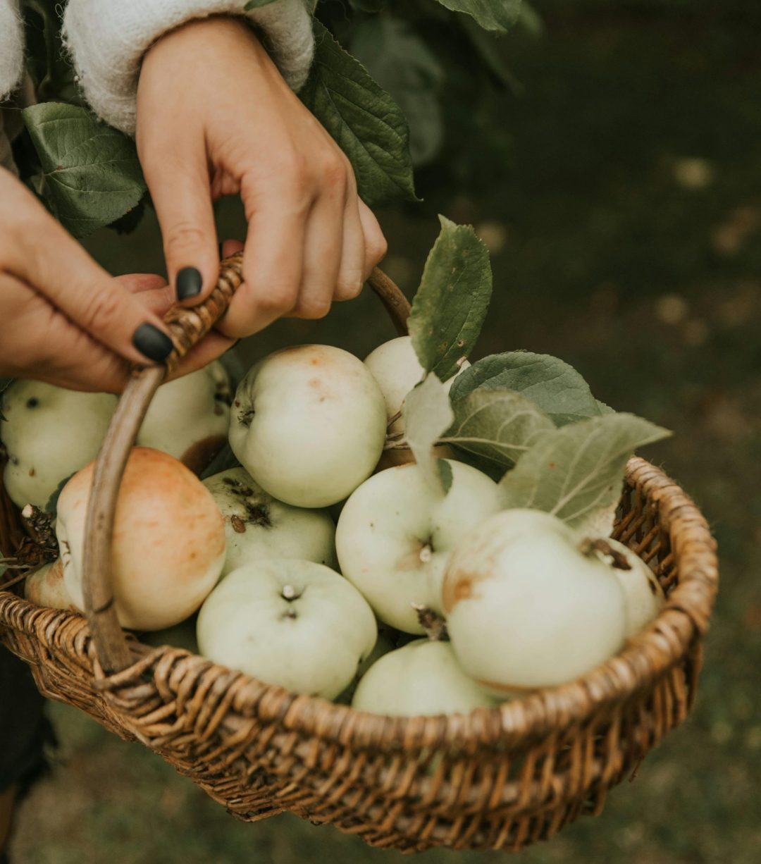 Misurare l’impatto