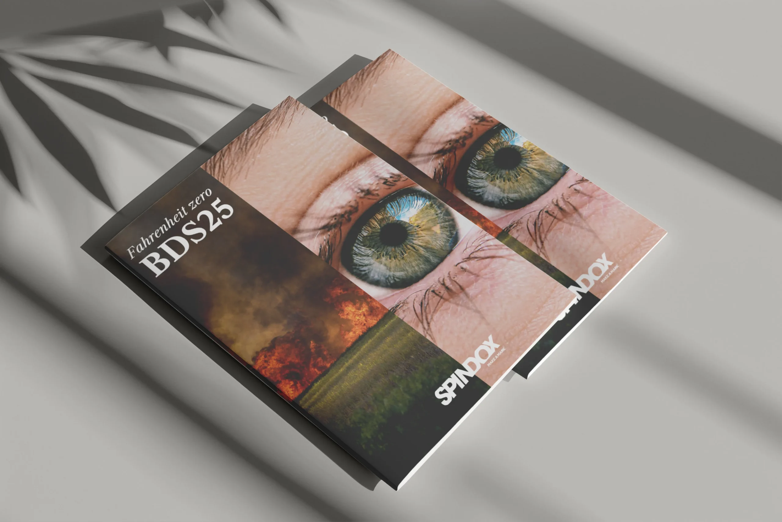 BDS25 grafica social